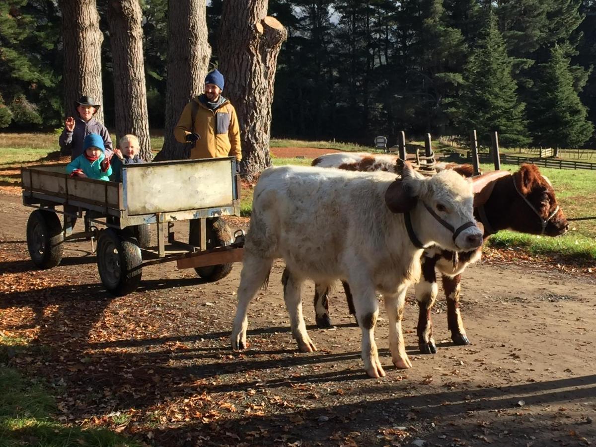 Mohaka River Farm Te Haroto Екстер'єр фото