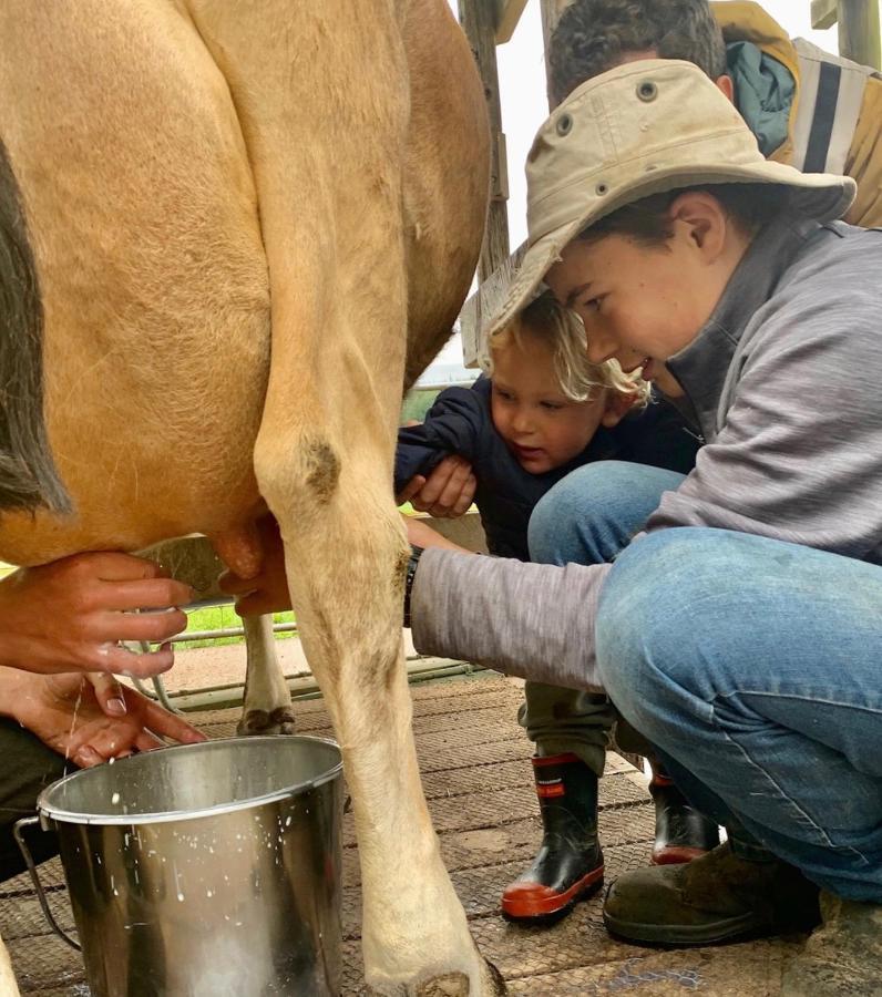 Mohaka River Farm Te Haroto Екстер'єр фото