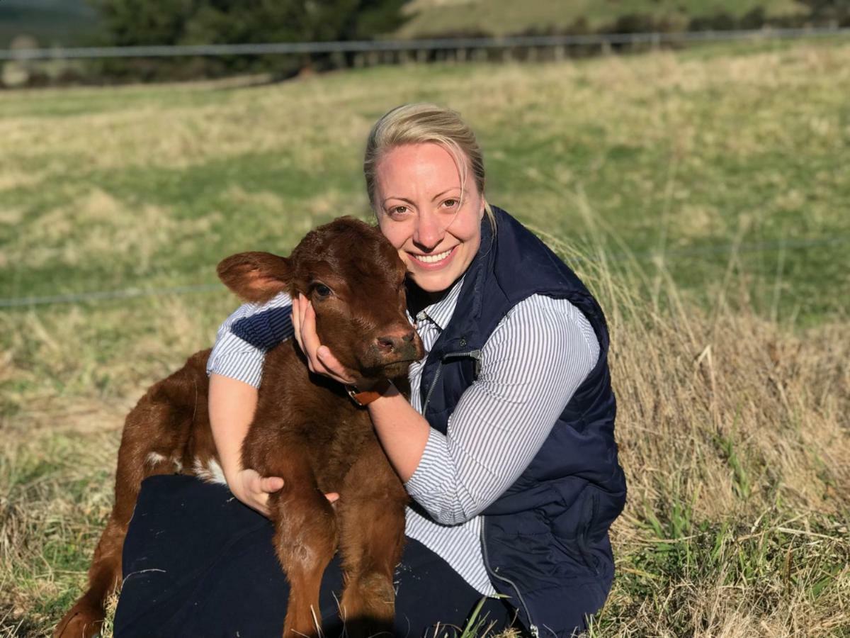 Mohaka River Farm Te Haroto Екстер'єр фото